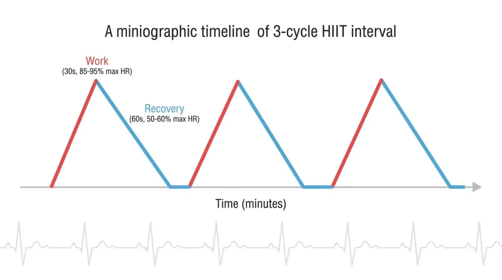 Visual timeline of a HIIT interval cycle showing work and recovery phases with corresponding effort levels